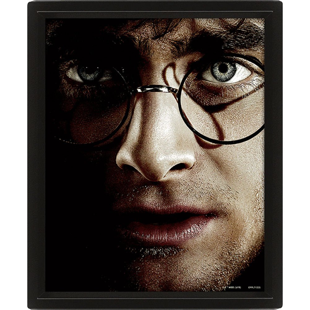Harry Potter Framed 3D Picture - Gift Arch