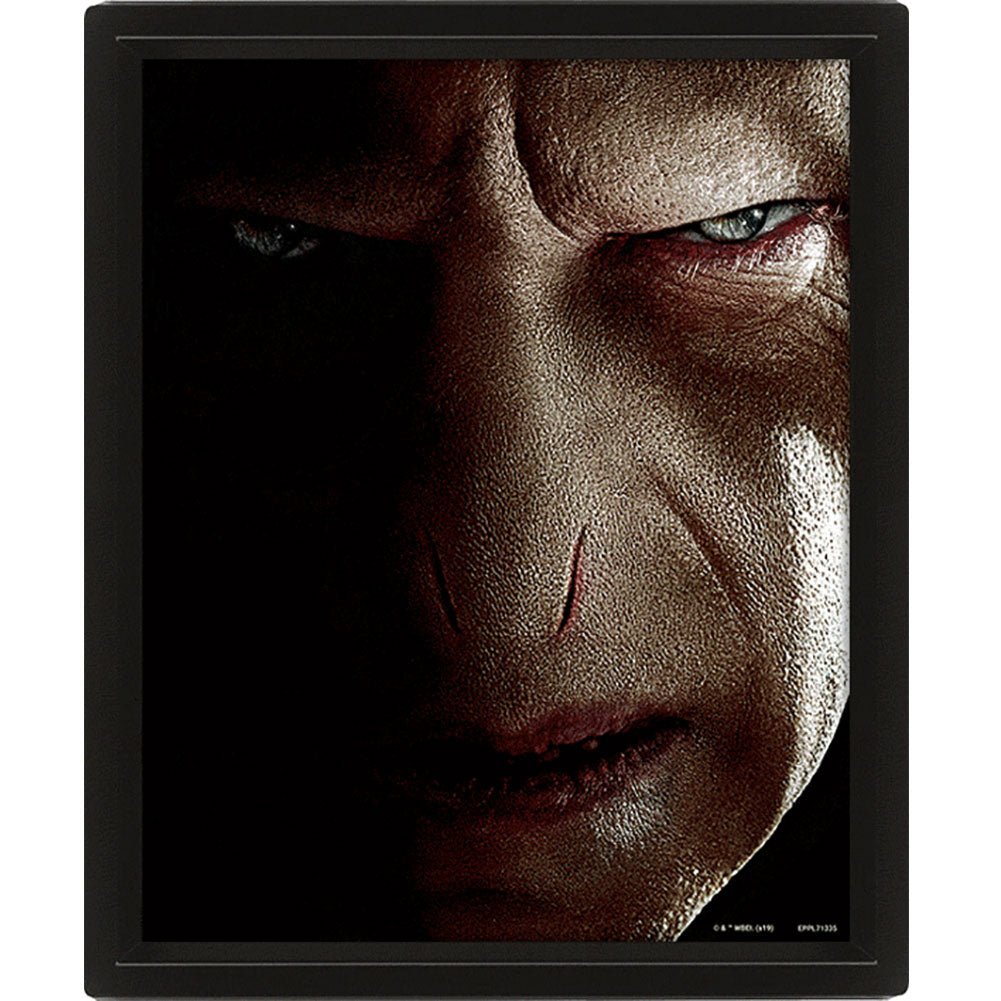 Harry Potter Framed 3D Picture - Gift Arch