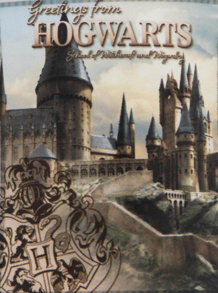 Harry Potter Hogwarts Castle Premium Fleece Blanket - Gift Arch
