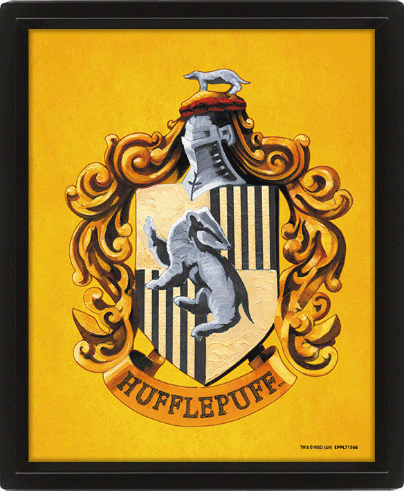 Harry Potter Hufflepuff Framed 3D Picture - Gift Arch