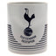 2-Taylors Football-2