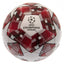 2-Taylors Football-2