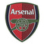 Arsenal FC 3D Fridge Magnet