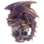 Dark Legends Silver Skull Dragon Magnet - Dragon Gifts
