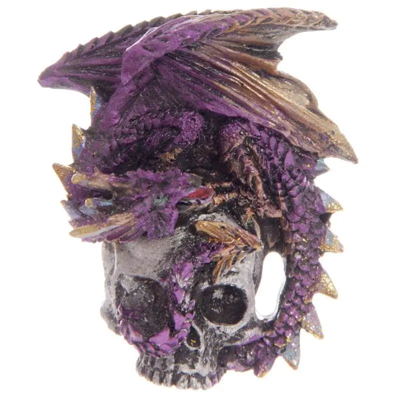 Dark Legends Silver Skull Dragon Magnet - Dragon Gifts