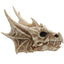 Dragon Skull Decoration - Dragon Gifts