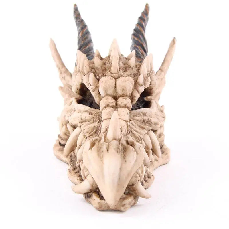 Dragon Skull Money Box - Dragon Gifts