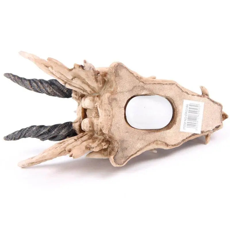 Dragon Skull Money Box - Dragon Gifts