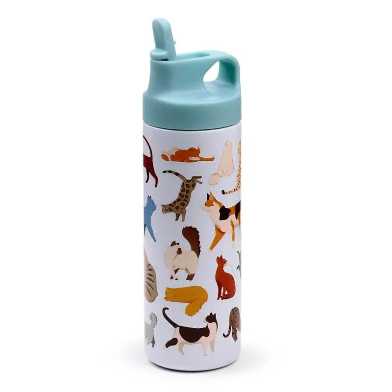 Feline Fine Cats (New) Hot & Cold Flip Top Drinks Bottle 500ml - Cat Gifts & Collectables