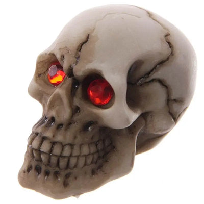 Gruesome Skull with Red Gem Eyes Decoration - Gothic Fantasy Skulls & Skeletons