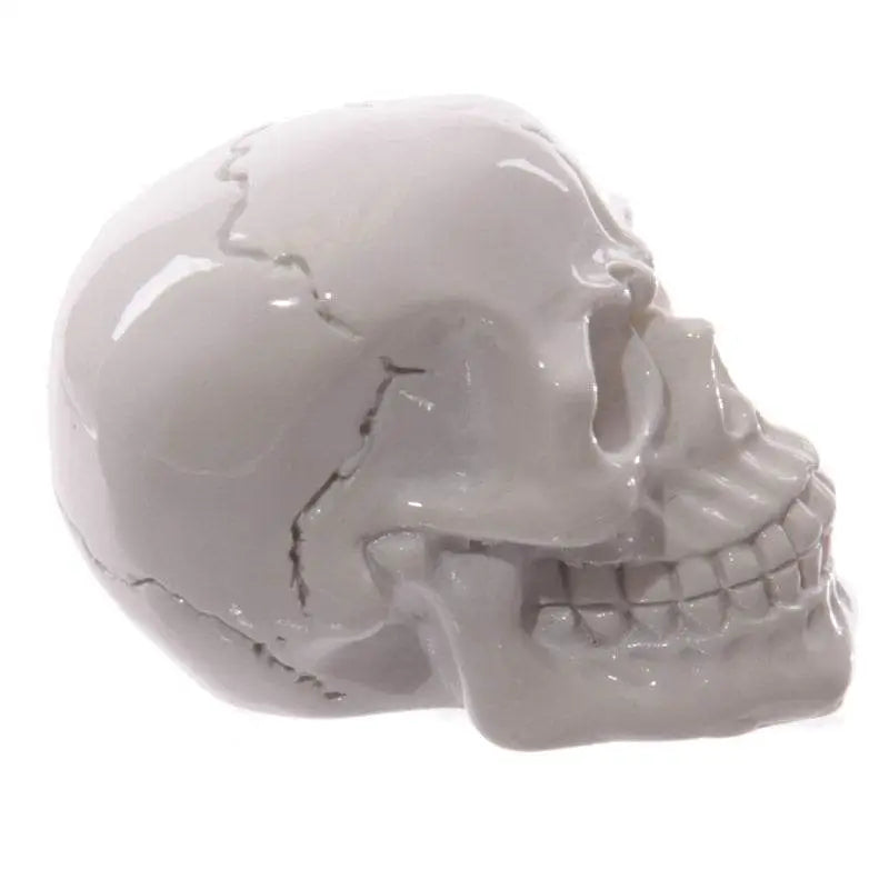 Gruesome Small Skull Decorations - Gothic Fantasy Skulls & Skeletons