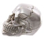 Gruesome Small Skull Decorations - Gothic Fantasy Skulls & Skeletons