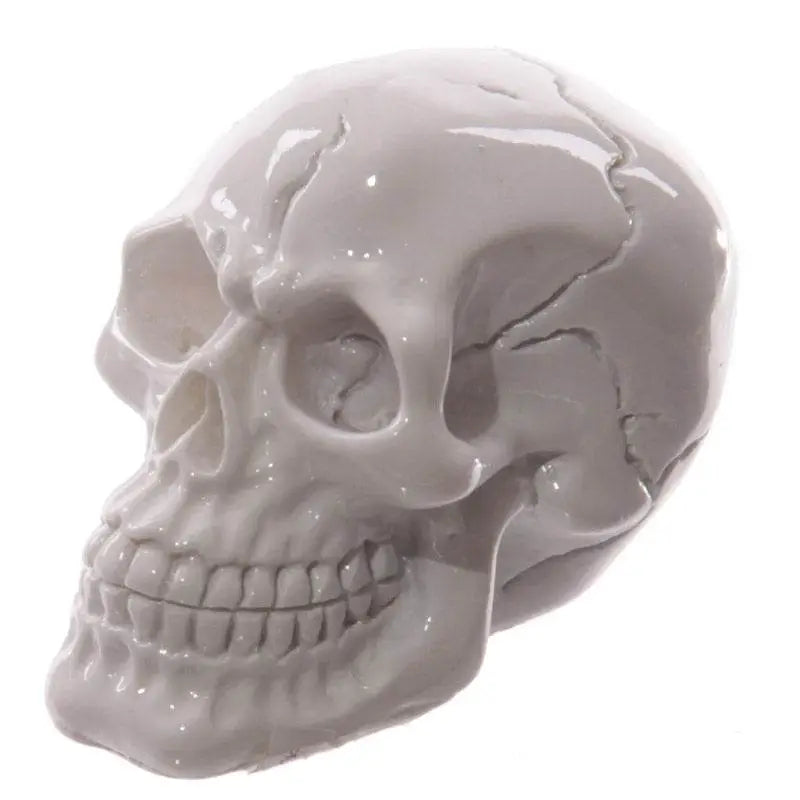 Gruesome Small Skull Decorations - Gothic Fantasy Skulls & Skeletons