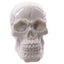 Gruesome Small Skull Decorations - Gothic Fantasy Skulls & Skeletons