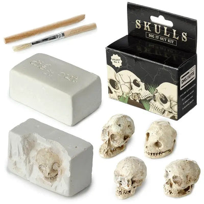 Human Skull Dig-A-Saurs Dig it Out Kit - Gothic Fantasy Skulls & Skeletons