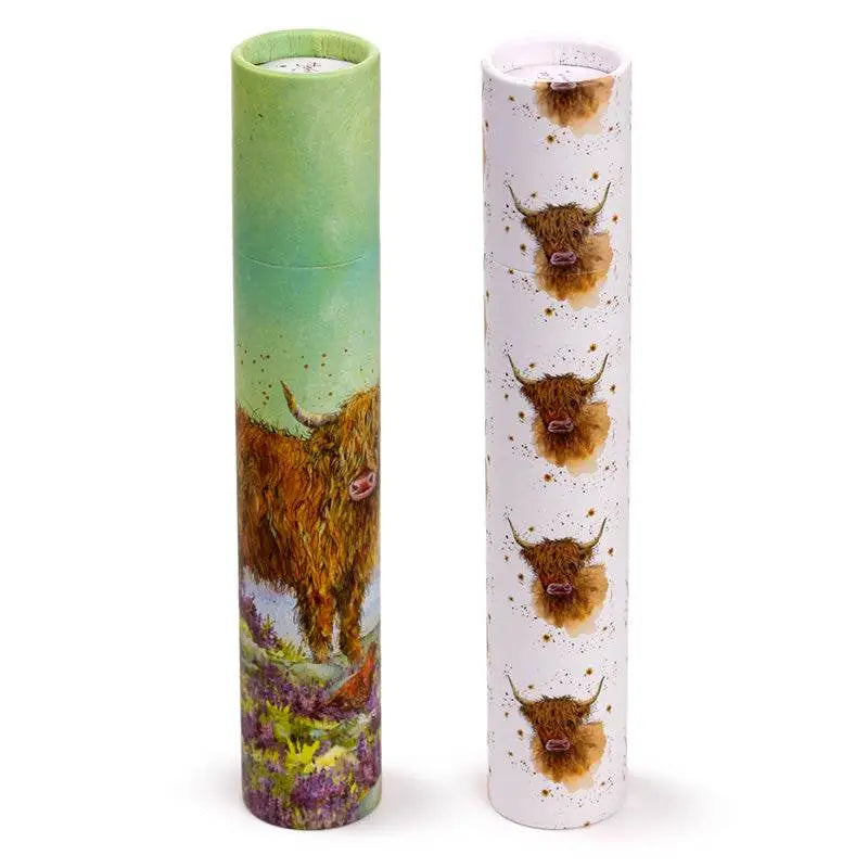 Jan Pashley Highland Coo Cow Large Pencil Pot with 12 Colouring Pencils - Jan Pashley Designs
