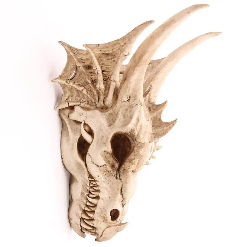 Large Dragon Skull Decoration - Dragon Gifts