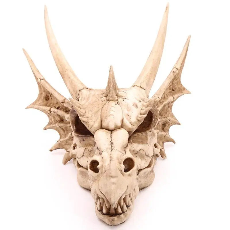 Large Dragon Skull Decoration - Dragon Gifts