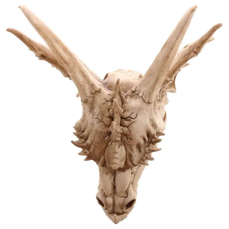 Large Dragon Skull Decoration - Dragon Gifts