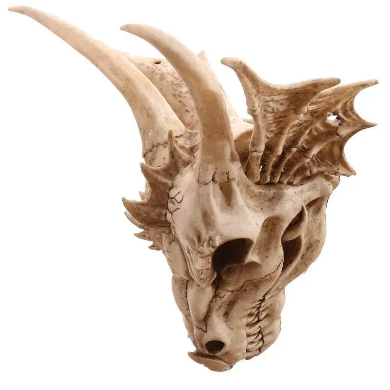 Large Dragon Skull Decoration - Dragon Gifts