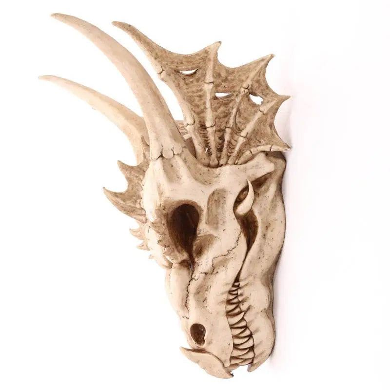 Large Dragon Skull Decoration - Dragon Gifts