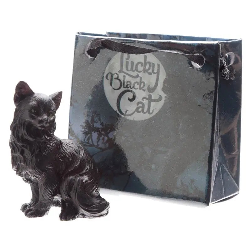 Lucky Black Cat in a Mini Gift Bag - Cat Gifts & Collectables