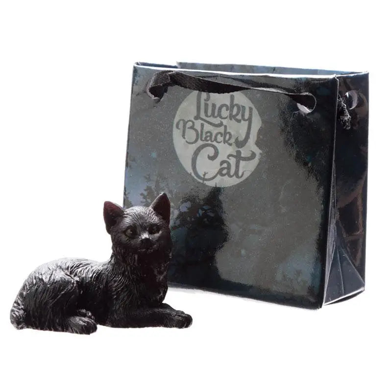 Lucky Black Cat in a Mini Gift Bag - Cat Gifts & Collectables