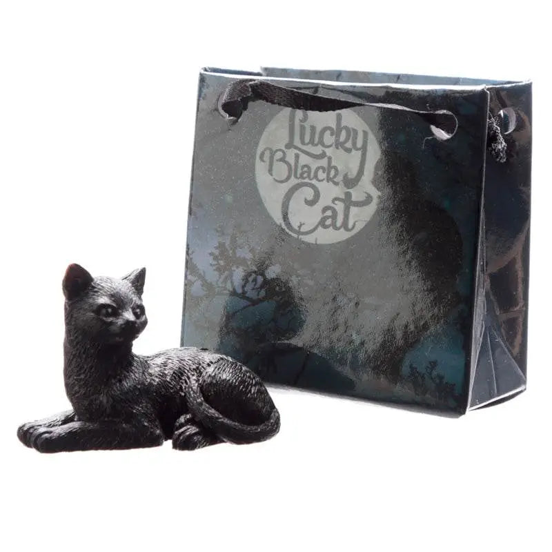 Lucky Black Cat in a Mini Gift Bag - Cat Gifts & Collectables