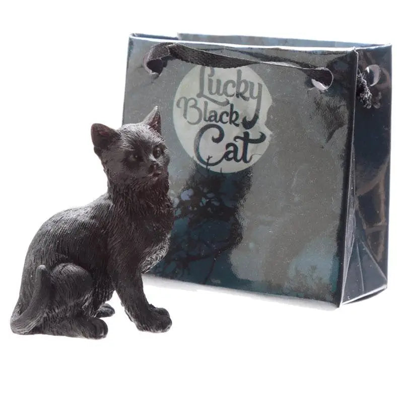 Lucky Black Cat in a Mini Gift Bag - Cat Gifts & Collectables