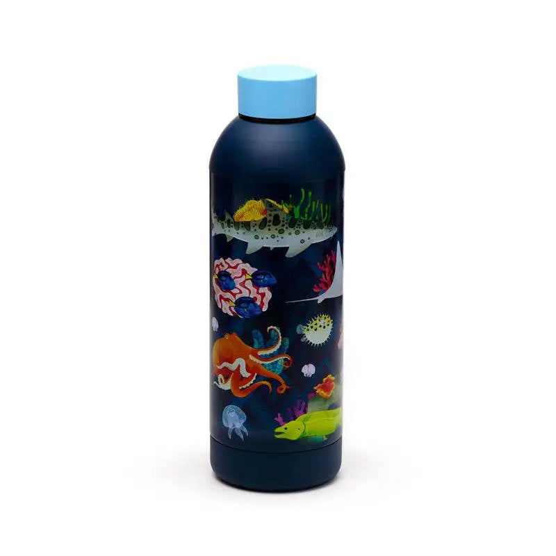 Marine Kingdom Hot & Cold Drinks Bottle 530ml - Sealife & Aquarium