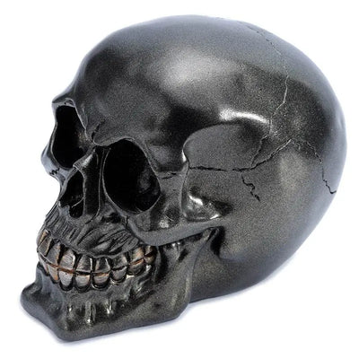 Metallic Black Skull Decoration - Gothic Fantasy Skulls & Skeletons