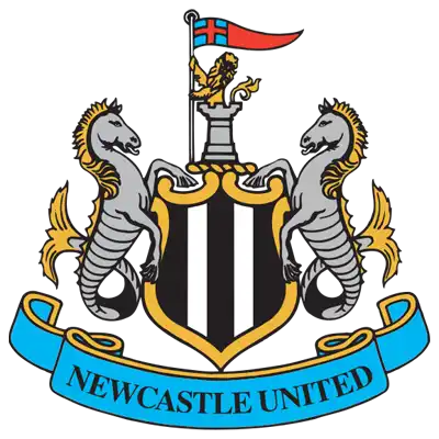 Newcastle united crest with black and white shield, gold lions, red flag on blue banner.