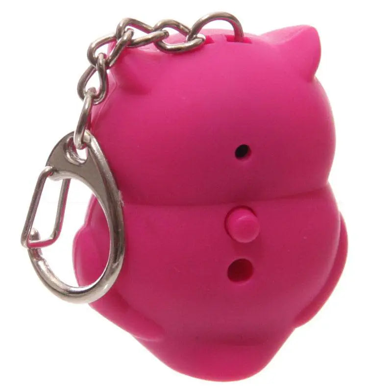 Pink & Blue Hooting Owl LED Keyring with Sound - Keyrings & Key Chains