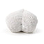 Wings of the Heart Angel Wings Trinket Box - Gift Arch