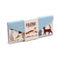 Feline Fine Cats (New) Foldable Glasses Case - Gift Arch