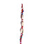 Friendship Bracelets - Woven Shells - Gift Arch