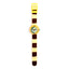 Zooniverse Analogue Watch - Gift Arch