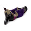 Purple & Black Thai Buddha Reclining - Gift Arch