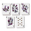 Nectar Meadows Standard Playing Card Deck - Gift Arch