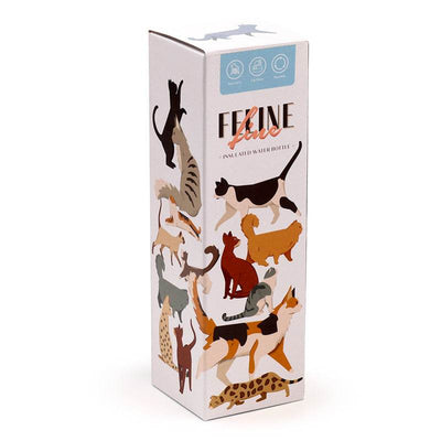 Feline Fine Cats (New) Hot & Cold Flip Top Drinks Bottle 500ml - Gift Arch