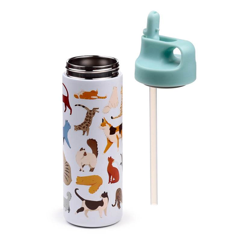 Feline Fine Cats (New) Hot & Cold Flip Top Drinks Bottle 500ml - Gift Arch