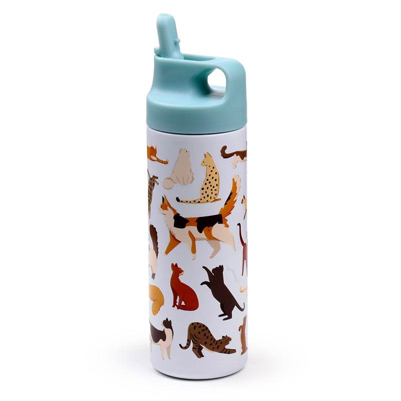 Feline Fine Cats (New) Hot & Cold Flip Top Drinks Bottle 500ml - Gift Arch