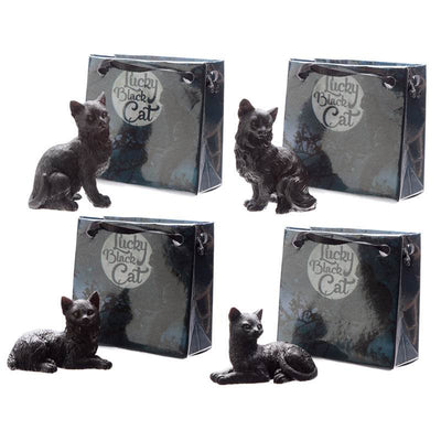 Lucky Black Cat in a Mini Gift Bag - Gift Arch