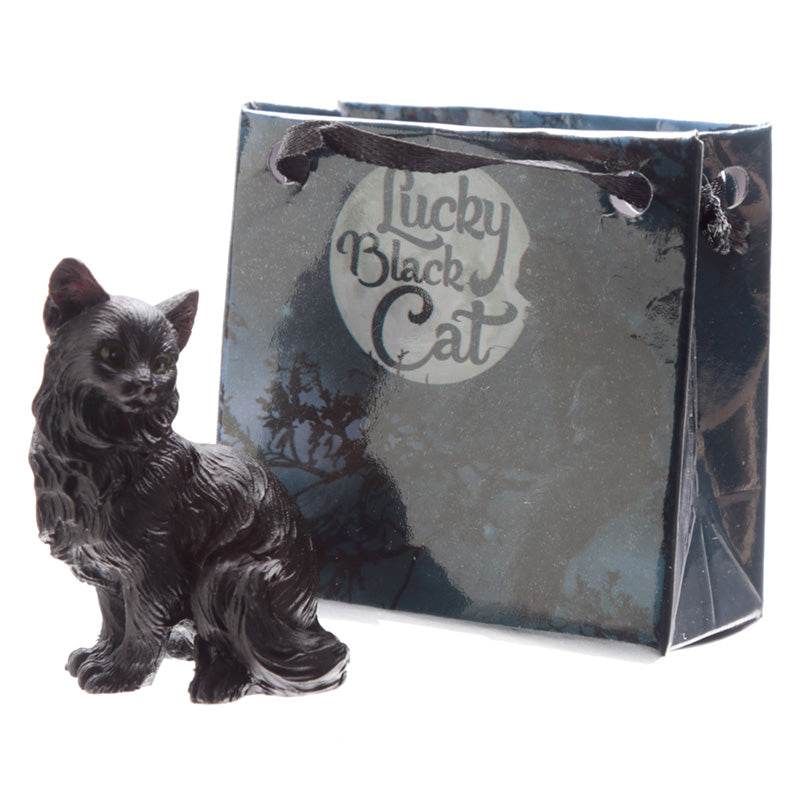Lucky Black Cat in a Mini Gift Bag - Gift Arch
