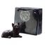 Lucky Black Cat in a Mini Gift Bag - Gift Arch