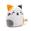 Squidglys Lola the Cat Adoramals Pets Plush Toy - Gift Arch