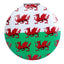 Welsh Dragon Wales (Cymru) Souvenir Compact Mirror - Gift Arch