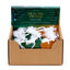 Set of 5 Luck & Wealth Stones - Gift Arch