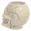Ancient Skull Head Ceramic Shaped Mug - Gift Arch