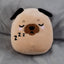 Squidglys Gus the Pug Adoramals Pets Plush Toy - Gift Arch
